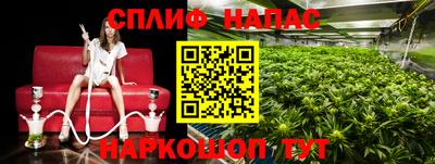 гидра Гагарин