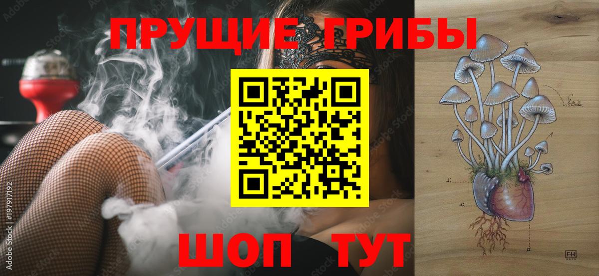 Галлюциногенные грибы мухоморы  Вход с VPN  Псилоцибиновые грибы Psilocybe  закладка  Ялуторовск 